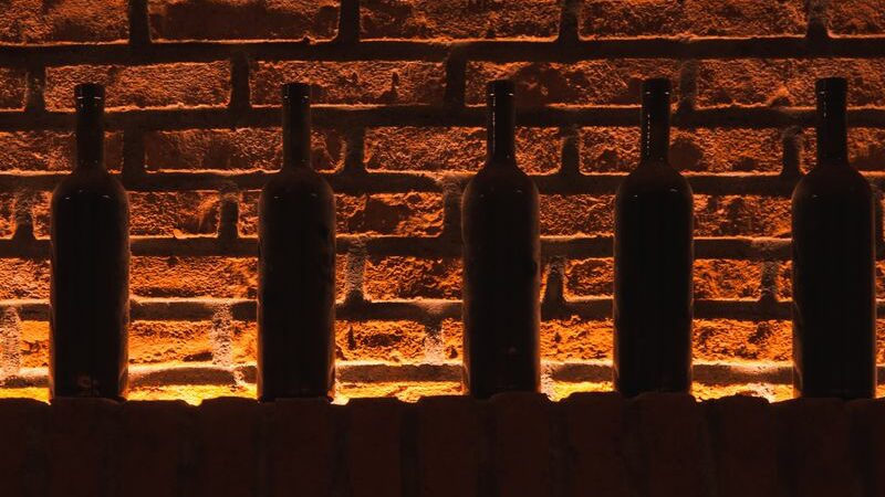 Was ihr zu der richtigen Weinlagerung wissen solltet